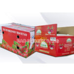 thùng carton đựng trái cây xuất khẩu giá rẻ - hinh 5